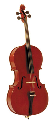 New Cello for Sale